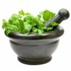 Herbs Videos