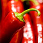 Earlwood Growers Market - Seasonal Produce Guide.