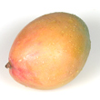 Mango Hedgehog