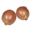 Onion Preparation