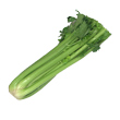 Celery Preparation