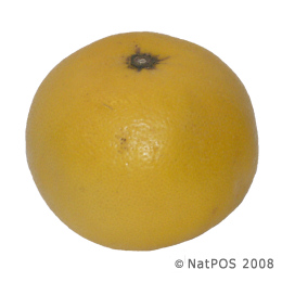 yellow grapefruit