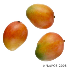 Mango - Keitt