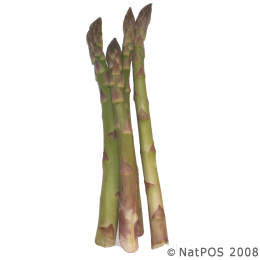 Asparagus - Green Asparagus