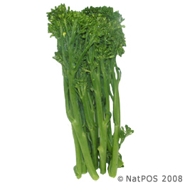 Broccoli - Broccolini